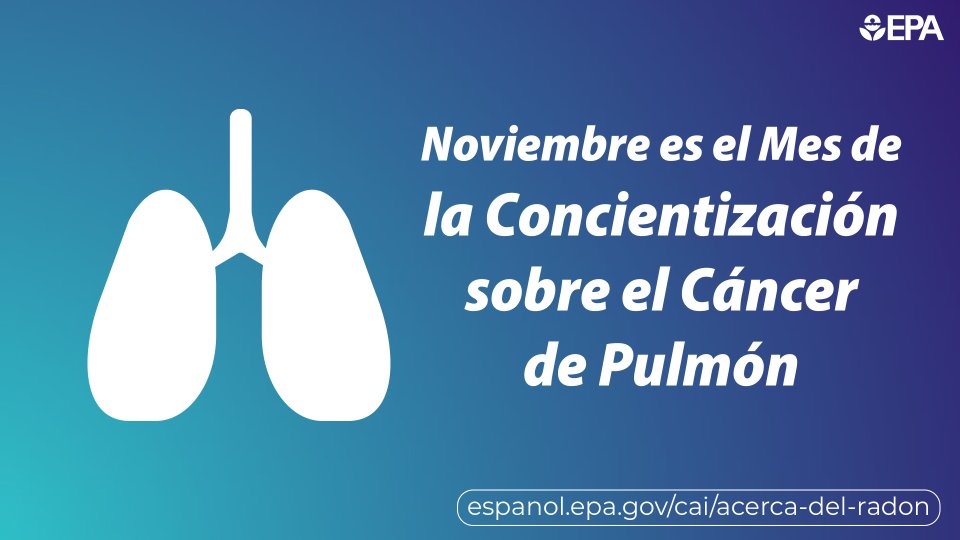 image showing human lungs; november is lung cancer awareness month